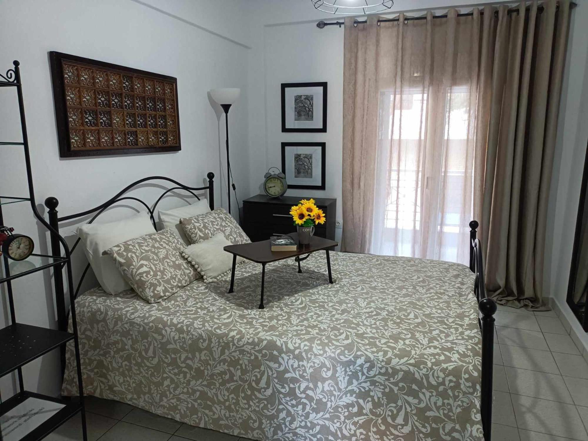 פסאקודיה Stefiniki Apartment מראה חיצוני תמונה