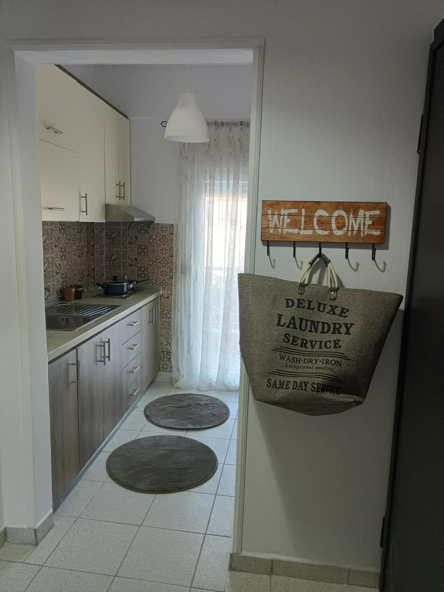 פסאקודיה Stefiniki Apartment מראה חיצוני תמונה