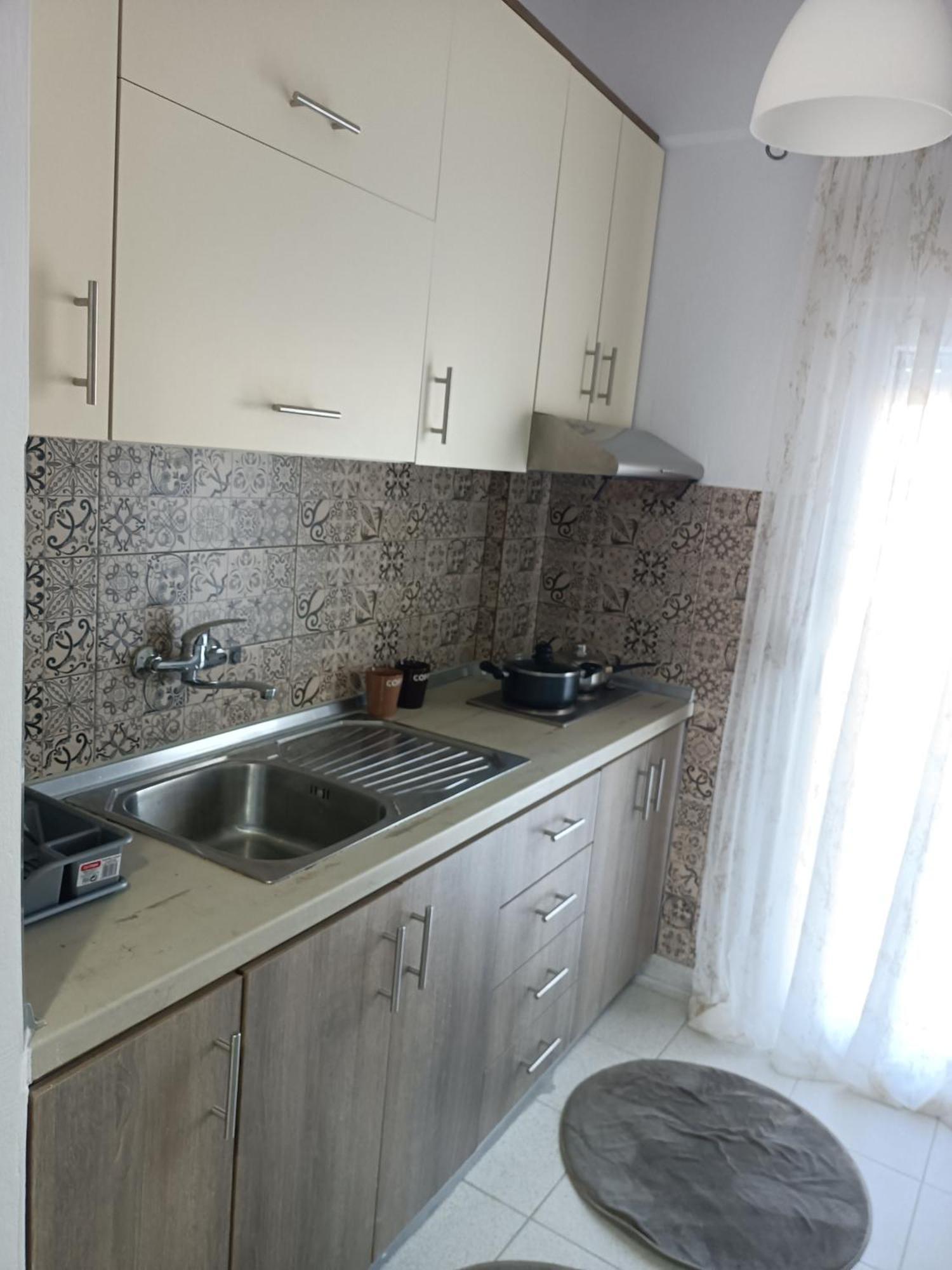 פסאקודיה Stefiniki Apartment מראה חיצוני תמונה