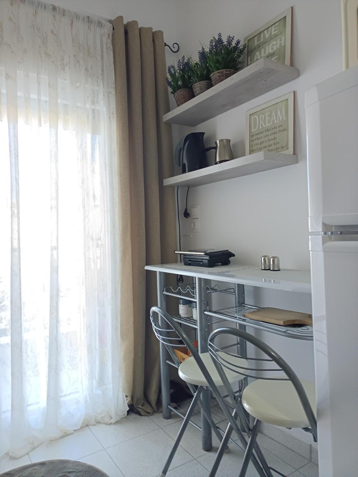 פסאקודיה Stefiniki Apartment מראה חיצוני תמונה